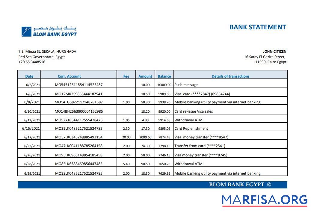 Printable Egypt Blom Bank of Egypt bank statement excel real example